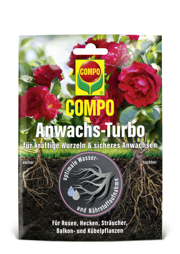 COMPO Spezialdünger Anwachs-Turbo